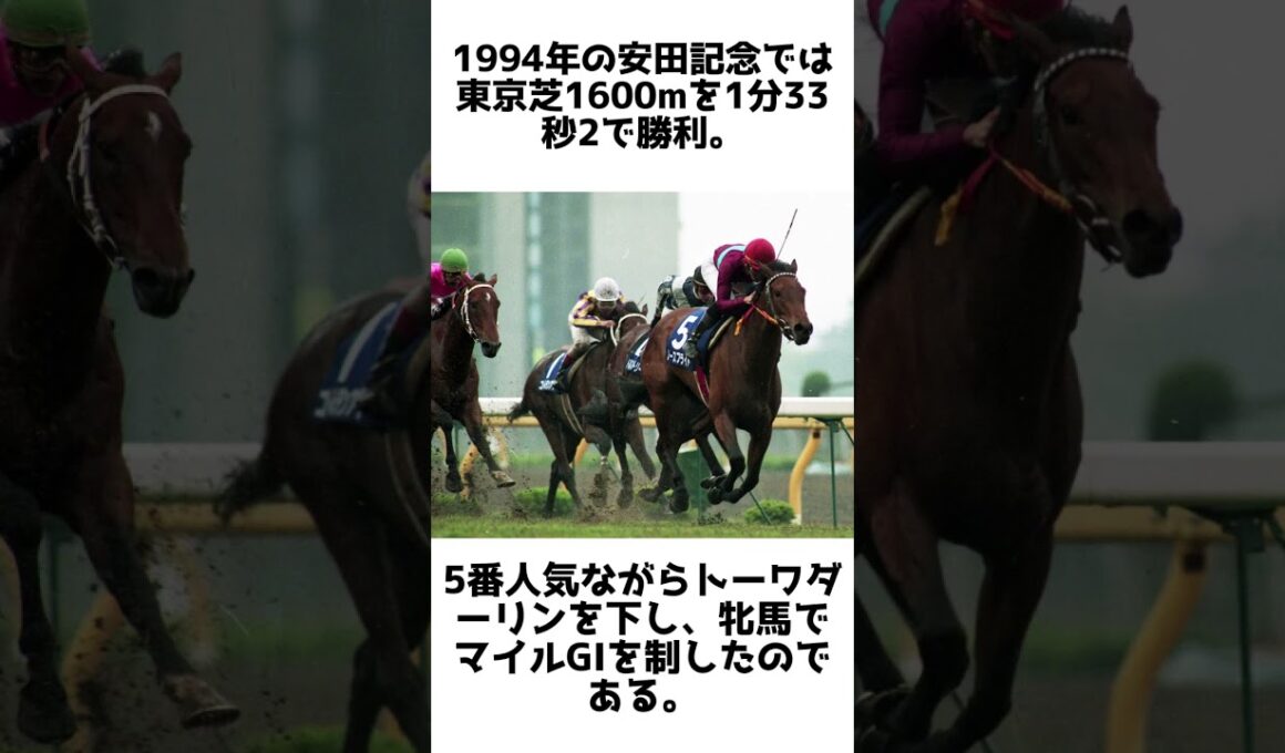 遅咲きのマイル女王！ノースフライトの雑学5選 #競馬 #shorts #1分雑学 #ノースフライト #馬