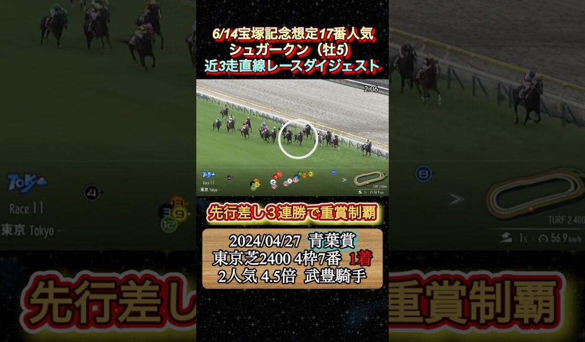 【シュガークン】 宝塚記念想定17番人気！近3走ダイジェスト　#競馬  #宝塚記念  #シュガークン  #吉村誠之助  #shorts