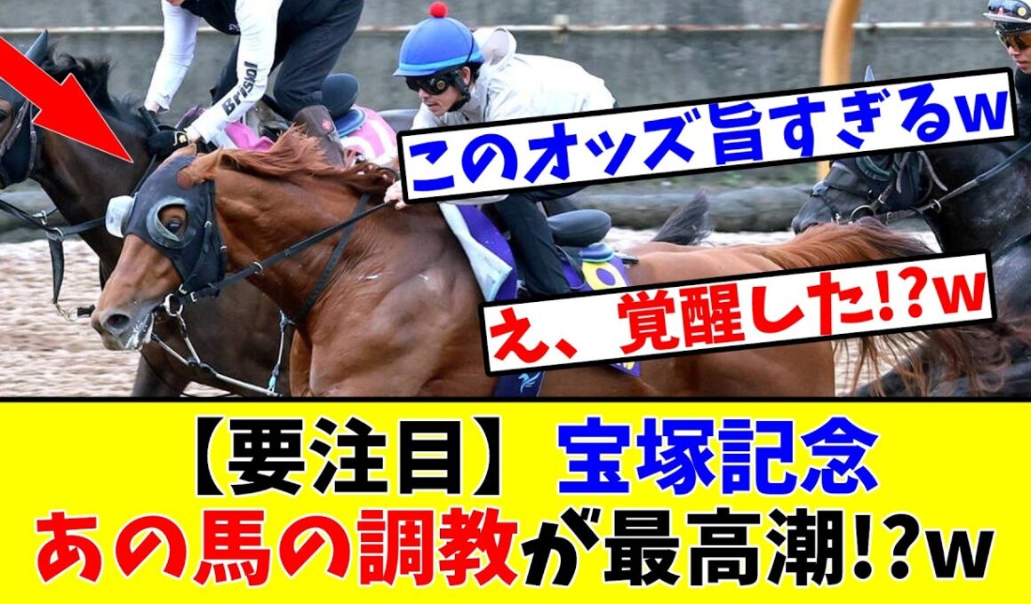 【宝塚記念】【要注目】あの馬の調教が最高潮!?www