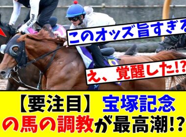 【宝塚記念】【要注目】あの馬の調教が最高潮!?www