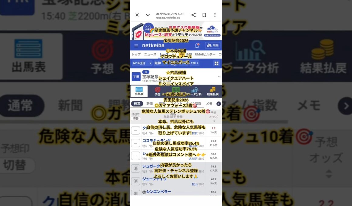 【宝塚記念2026】◎本命候補と☆穴馬候補