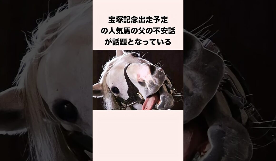 宝塚記念出走予定の人気馬の父の不安話が話題となっている #競馬 #競馬予想 #shorts