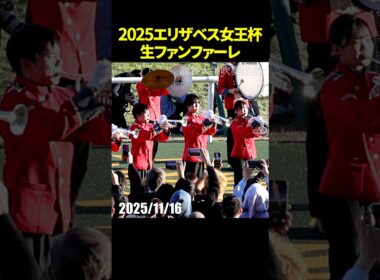 2025年第50回エリザベス女王杯のG1生ファンファーレ演奏 #ファンファーレ #エリザベス女王杯 #現地映像 #競馬 #shorts