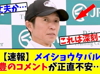 【宝塚記念】【速報】メイショウタバル、武豊のコメントが正直不安…www