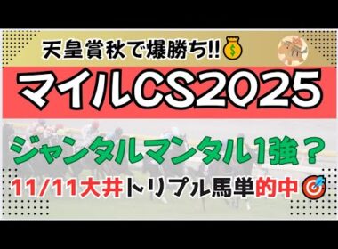 マイルチャンピオンシップ2025予想【川崎競馬】全頭診断＋調教診断＋買い目