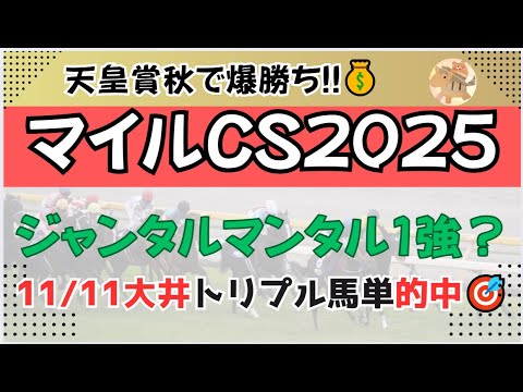 マイルチャンピオンシップ2025予想【川崎競馬】全頭診断＋調教診断＋買い目