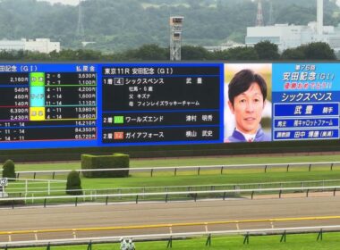 第76回安田記念　煽りV〜ファンファーレ〜レース〜ウイニングラン〜確定