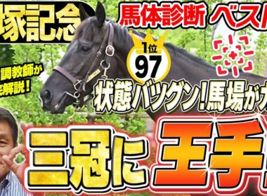 【宝塚記念2026】春・古馬GⅠ三冠達成に期待！GⅠ馬に引けを取らない好馬体の挑戦者も！中村均元調教師が馬体診断ベスト５を発表 ！《東スポ競馬》