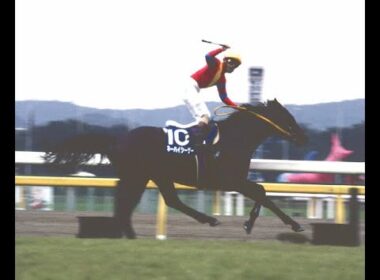 1994　天皇賞秋 GⅠ　ネーハイシーザー　塩村　克己