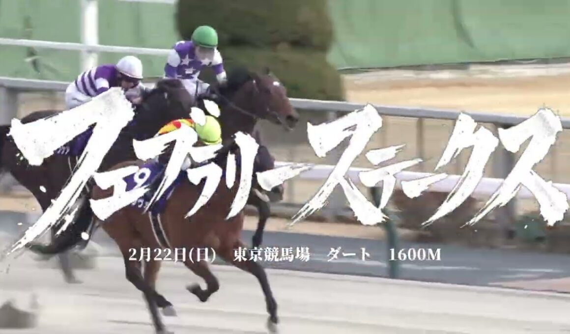 【競馬煽りPV】2026フェブラリーステークス