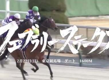 【競馬煽りPV】2026フェブラリーステークス