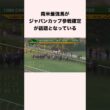 南米最強馬がジャパンカップ参戦確定が話題となっている #競馬 #競馬予想 #shorts