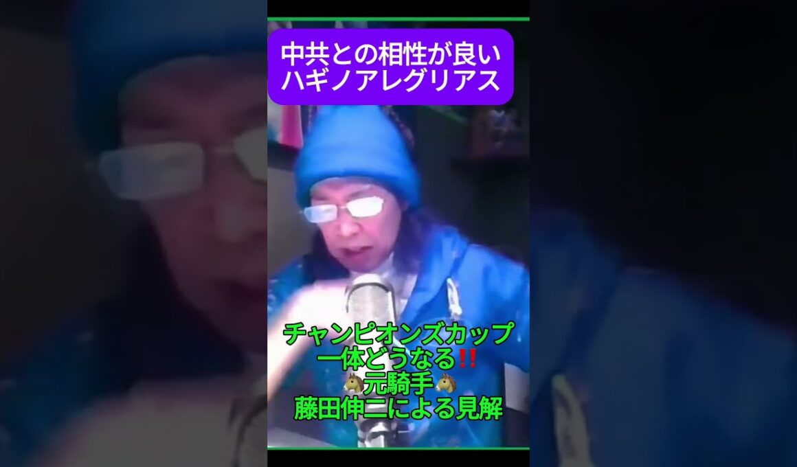 ハギノアレグリアス #藤田伸二 #チャンピオンズカップ #競馬  #チャンピオンズカップ2024