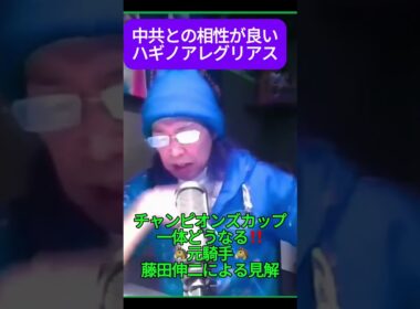ハギノアレグリアス #藤田伸二 #チャンピオンズカップ #競馬  #チャンピオンズカップ2024