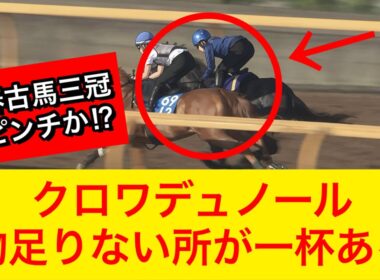 【宝塚記念2026】クロワデュノール状態がヤバい！？春古馬三冠危ういかも…【競馬の反応集】