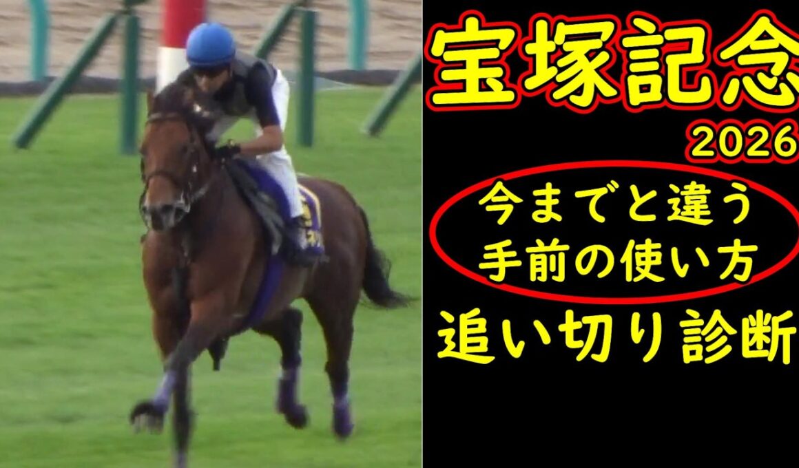 宝塚記念2026追い切り診断｜クロワデュノールに見えた違和感 ミュージアムマイルら有力馬の状態を徹底考察