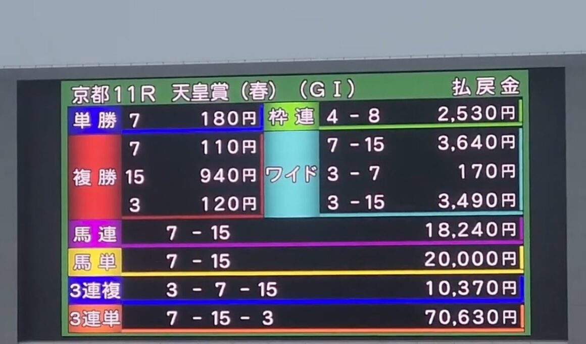 #天皇賞春 京都競馬場 現地観戦