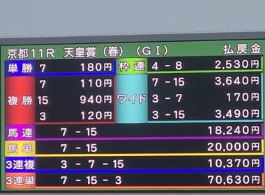 #天皇賞春 京都競馬場 現地観戦