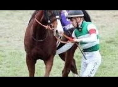 「どうしたんや」波乱決着のマイルＣＳ　直線失速→入線後下馬で最下位の人気馬にネット騒然「無事でいてくれ」