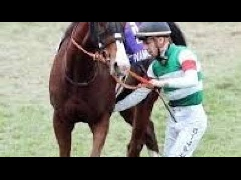 「どうしたんや」波乱決着のマイルＣＳ　直線失速→入線後下馬で最下位の人気馬にネット騒然「無事でいてくれ」