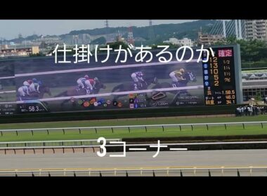 【天皇賞(春)】なが～い写真判定の末、クロワデュノールが優勝❗