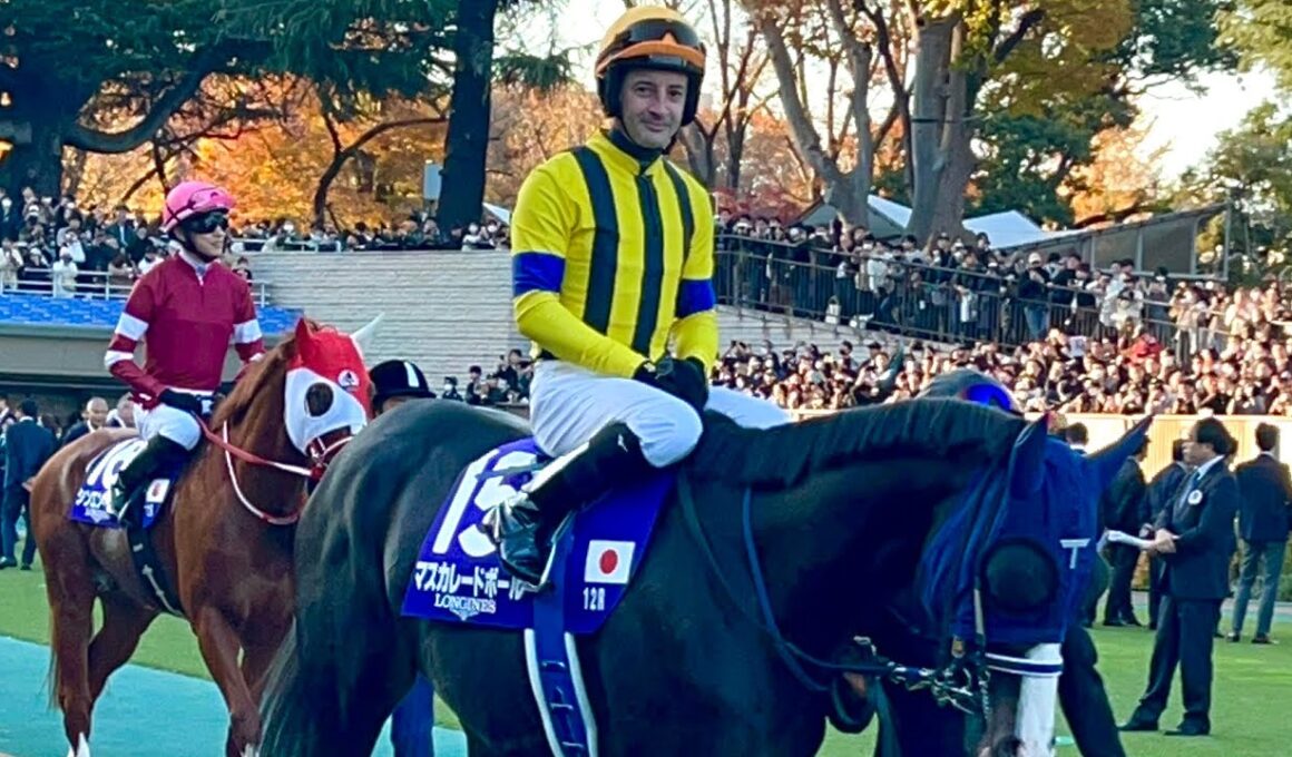 【G1】天皇賞秋全頭パドック2025年11月2日(日曜) 4回東京11日 11R東京競馬場