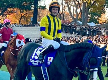 【G1】天皇賞秋全頭パドック2025年11月2日(日曜) 4回東京11日 11R東京競馬場