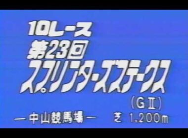 懐かしの「中央競馬ダイジェスト」1989年 スプリンターズS