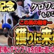 【宝塚記念2026】今週のクロワデュノールの動きに「もうひとつ…」安田隆行元調教師が調教ジャッジ「動き」「時計」「調教過程」を採点しピックアップした5頭を発表！《東スポ競馬ニュース》