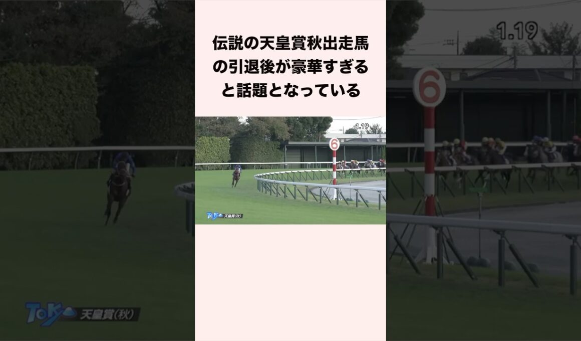 伝説の天皇賞秋出走馬の引退後が豪華すぎると話題となっている #競馬 #競馬予想 #shorts