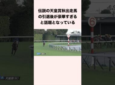 伝説の天皇賞秋出走馬の引退後が豪華すぎると話題となっている #競馬 #競馬予想 #shorts