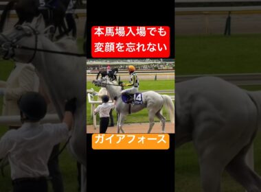 【ガイアフォース】 安田記念の本馬場入場でもやはり変顔する #安田記念 #ガイアフォース #競馬 #shorts