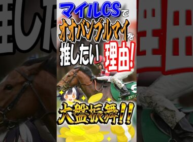 【マイルCS】知らないと損！？大穴としてオオバンブルマイを推したすぎる理由があります！【マイルチャンピオンシップ2024】　　　　　#マイルチャンピオンシップ  #競馬予想 #オオバンブルマイ