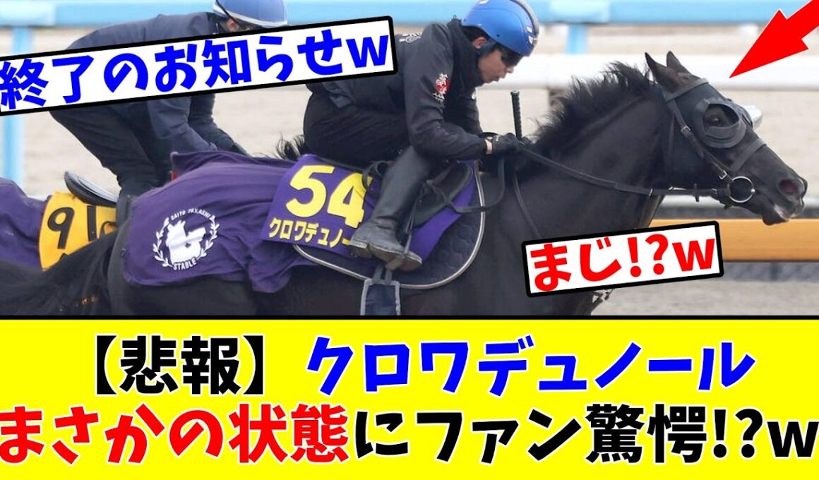 【宝塚記念】【悲報】クロワデュノール、まさかの状態にファン驚愕!?w