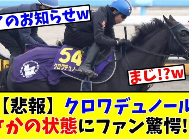 【宝塚記念】【悲報】クロワデュノール、まさかの状態にファン驚愕!?w