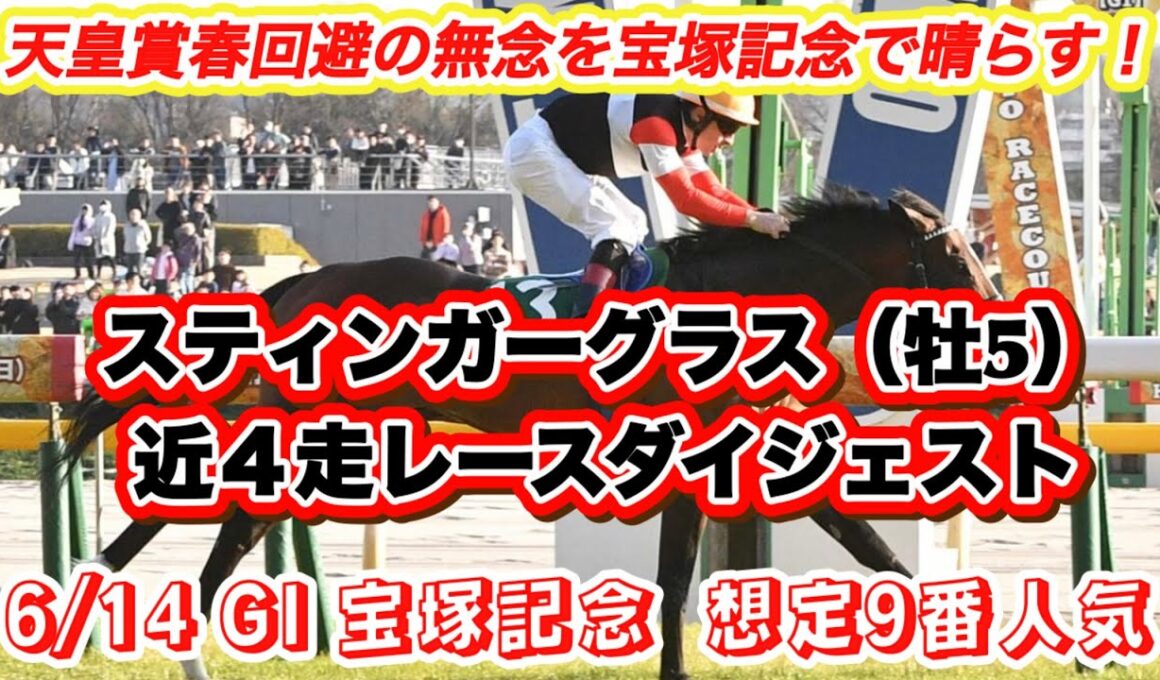 【スティンガーグラス】G I宝塚記念想定9番人気！天皇賞春回避の無念をここで晴らす✨近4走レースダイジェスト