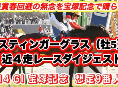 【スティンガーグラス】G I宝塚記念想定9番人気！天皇賞春回避の無念をここで晴らす✨近4走レースダイジェスト