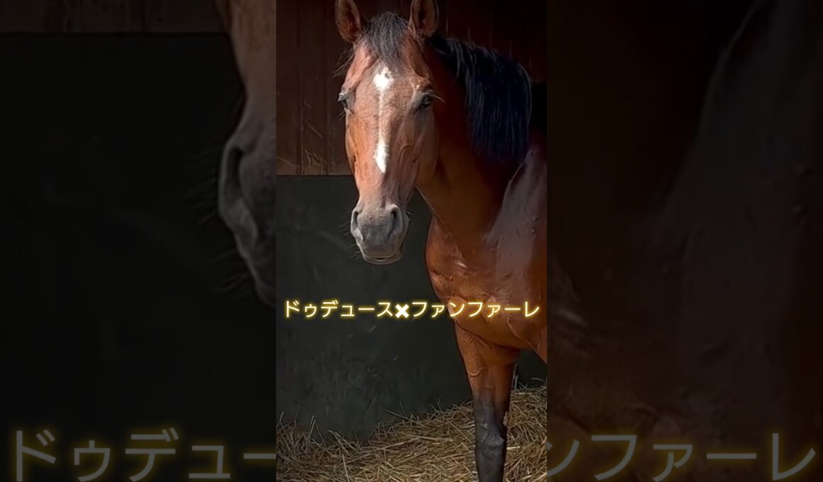 【有馬🏇ラストラン】#武豊騎手#ドュデュース#有馬記念