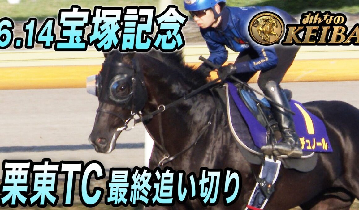【2026年宝塚記念・最終追い切り】上半期総決算のグランプリ！　みんなのKEIBA　6月14日　午後3時放送