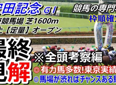 【安田記念2026】全頭考察 東京実績を重視！馬場が渋った時のために各馬の馬場適性を盛り込みました