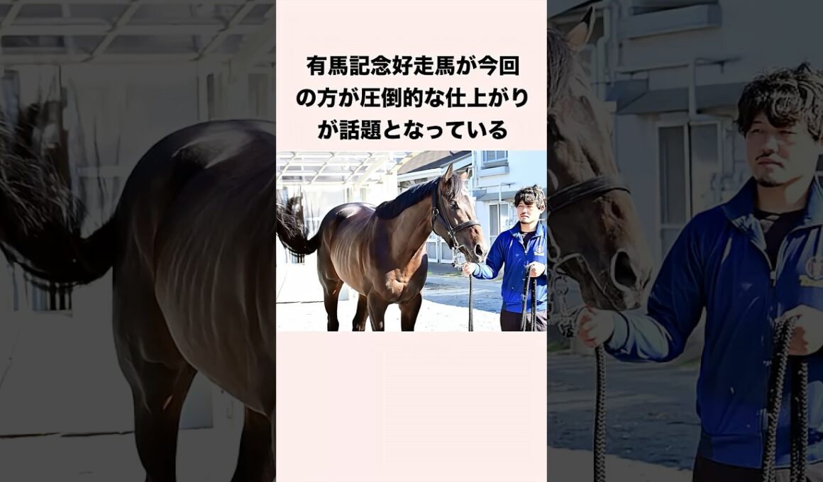 有馬記念好走馬が今回の方が圧倒的な仕上がりが話題となっている #競馬 #競馬予想 #shorts