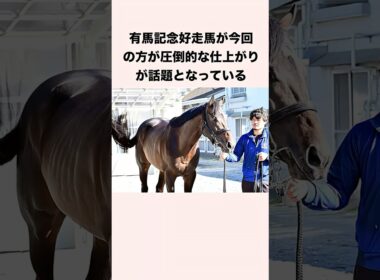 有馬記念好走馬が今回の方が圧倒的な仕上がりが話題となっている #競馬 #競馬予想 #shorts