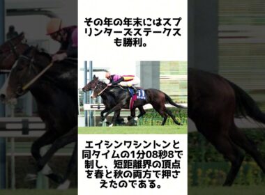 電撃スプリント女王！フラワーパークの雑学5選 #競馬 #shorts #1分雑学 #フラワーパーク #馬