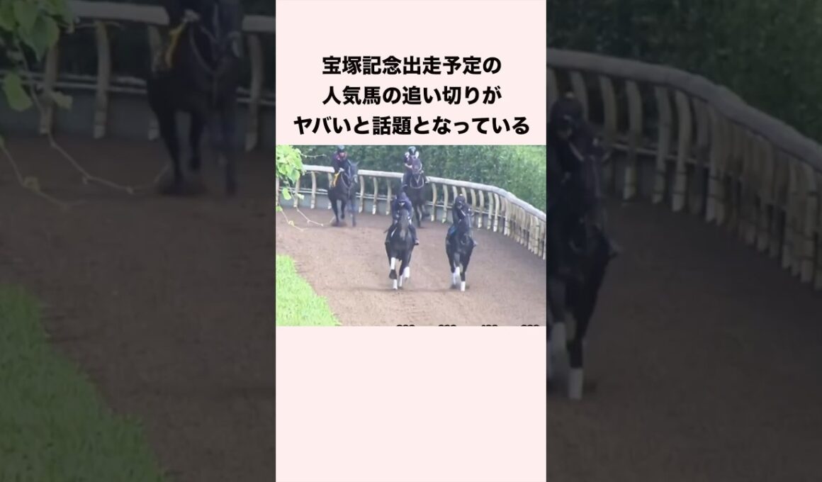 宝塚記念出走予定の人気馬の追い切りがヤバいと話題となっている #競馬 #競馬予想 #shorts
