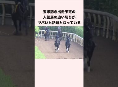 宝塚記念出走予定の人気馬の追い切りがヤバいと話題となっている #競馬 #競馬予想 #shorts