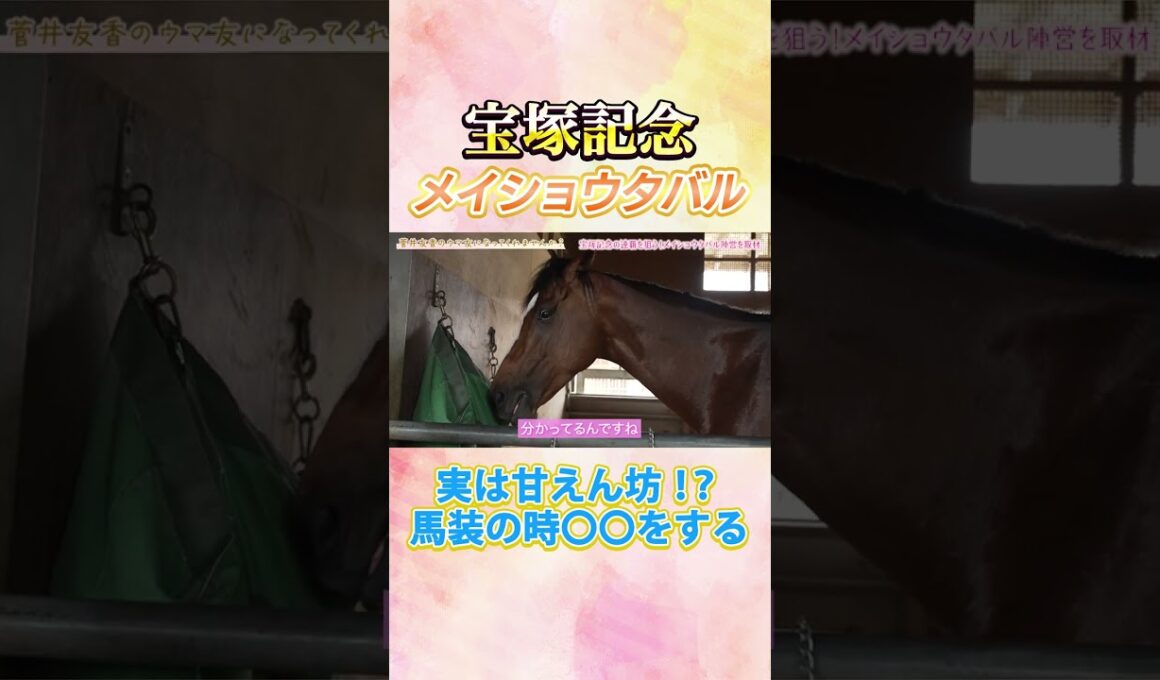 #競馬 #宝塚記念 #メイショウタバル