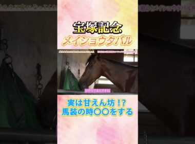 #競馬 #宝塚記念 #メイショウタバル