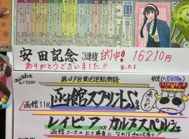 【競馬予想】函館11R 函館スプリントステークス🏇安田記念的中🎯ありがとう😊第49回貧乏逆転物語❗️