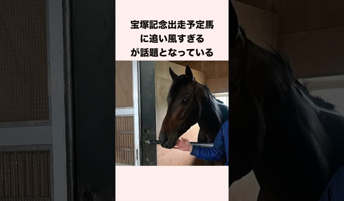 宝塚記念出走予定馬に追い風すぎるが話題となっている #競馬 #競馬予想 #shorts