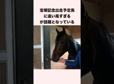 宝塚記念出走予定馬に追い風すぎるが話題となっている #競馬 #競馬予想 #shorts
